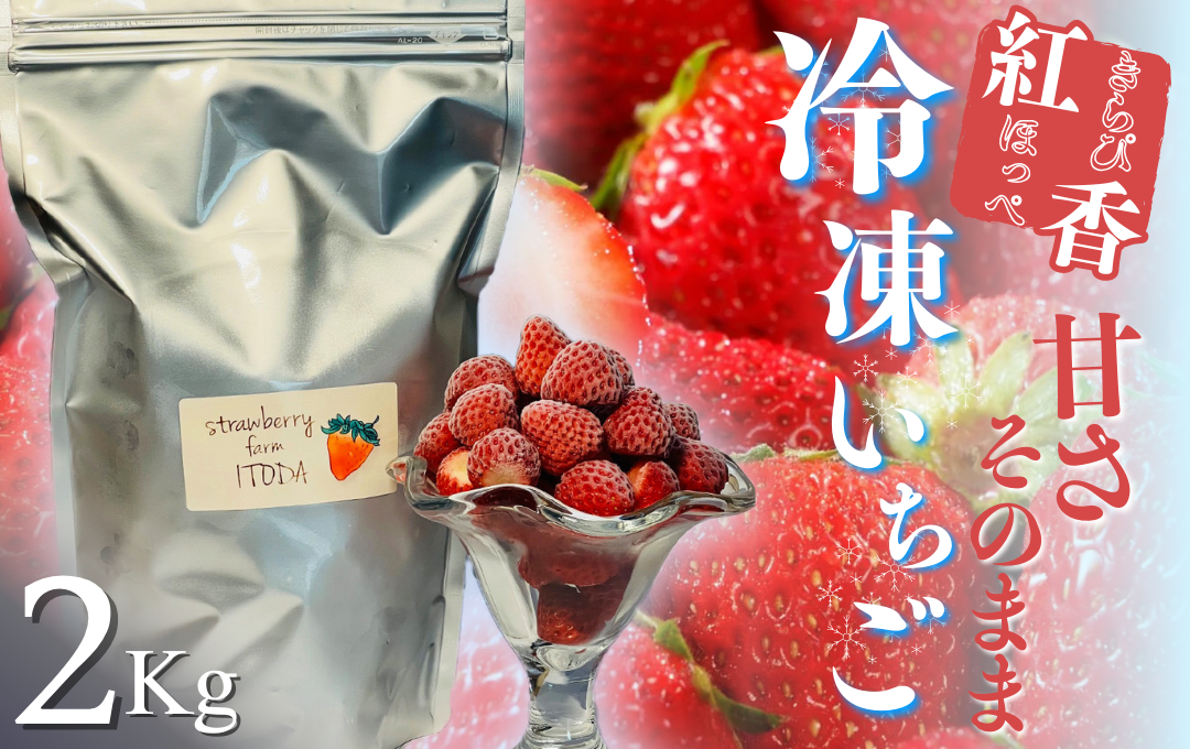 【先行予約＿2026年出荷分】地元JA品評会金賞受賞　冷凍イチゴ2Kg　【 いちご 果物 フルーツ 苺 イチゴ 冷凍 果物 フローズン くだもの 大容量 静岡県産 期間限定 】　<AO-4>