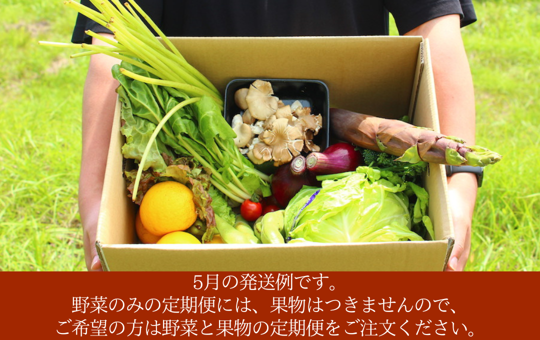 【定期便】 海まち野菜と果物セット 1年間の定期便　【 野菜 やさい きのこ 山菜 柑橘 みかん 果物 フルーツ セット 定期 旬 定期便 人気 詰め合わせ 12ヵ月 おまかせ 新鮮 】　<BC-63>