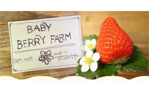 【 先行予約 _ 2025年2月以降順次配送】特別賞受賞！完熟冷凍いちご 2.0kg BabyBerryFarm　いちご 果物 フルーツ 苺 イチゴ 冷凍 くだもの 静岡県産 期間限定　<A-4>