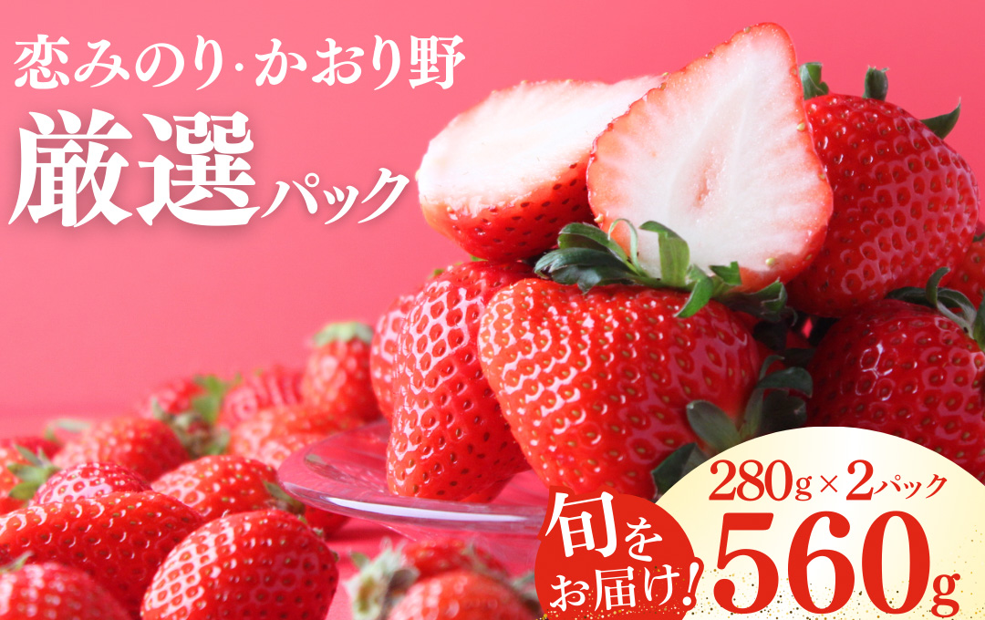 【先行予約＿2026年出荷分】完熟いちご280g 2パック（DXパック）恋みのり、かおり野 から厳選　【 苺 いちご イチゴ かおり野 恋みのり 産地直送 旬 果物 フルーツ くだもの 静岡県 伊豆 南伊豆町 期間限定 】　<AA-8>