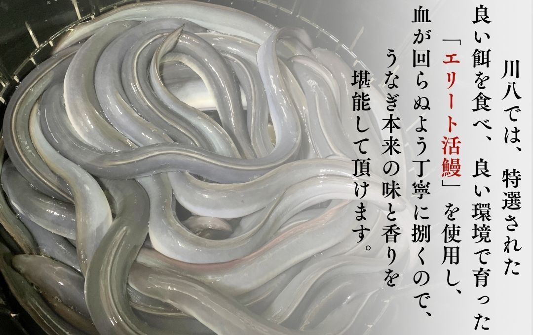 かくれうなぎ誕生の店　川八うなぎ蒲焼1人前 【 鰻 うなぎ ウナギ 蒲焼き 丑の日 冷凍 静岡 伊豆 】