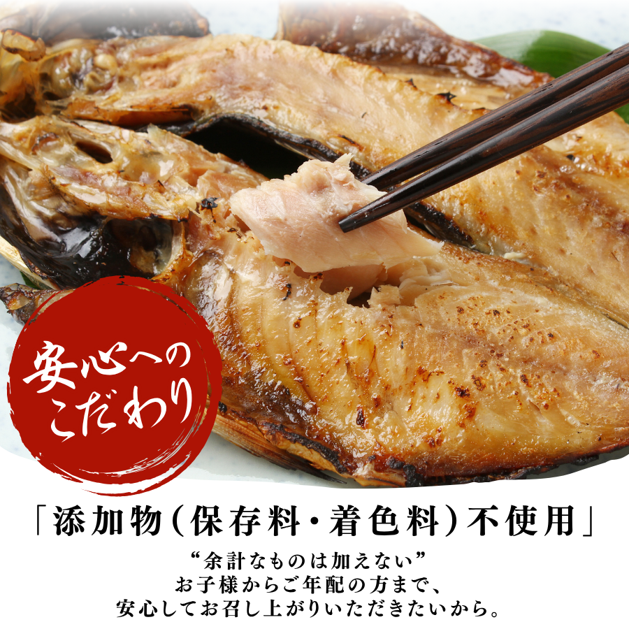 干物 やまきちの厳選ひもの 詰合せ 手作り干物 セット 干物 ひもの 静岡県 南伊豆 伊豆急コミュニティー 干物セット ひもの ひものセット 伊豆 魚介類 詰め合わせ アジ 金目 ほっけ かます 冷凍 定番 人気 静岡県 南伊豆町