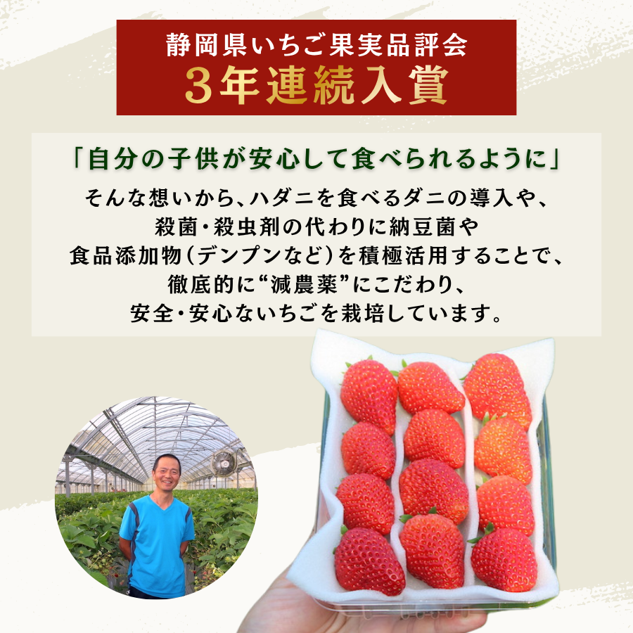 【先行予約＿2027年出荷分】　完熟いちご280g 福岡S6号 2パック（DXパック）【 福岡S6号 いちご 苺 イチゴ 果物 フルーツ くだもの 旬 伊豆 静岡県 期間限定】　