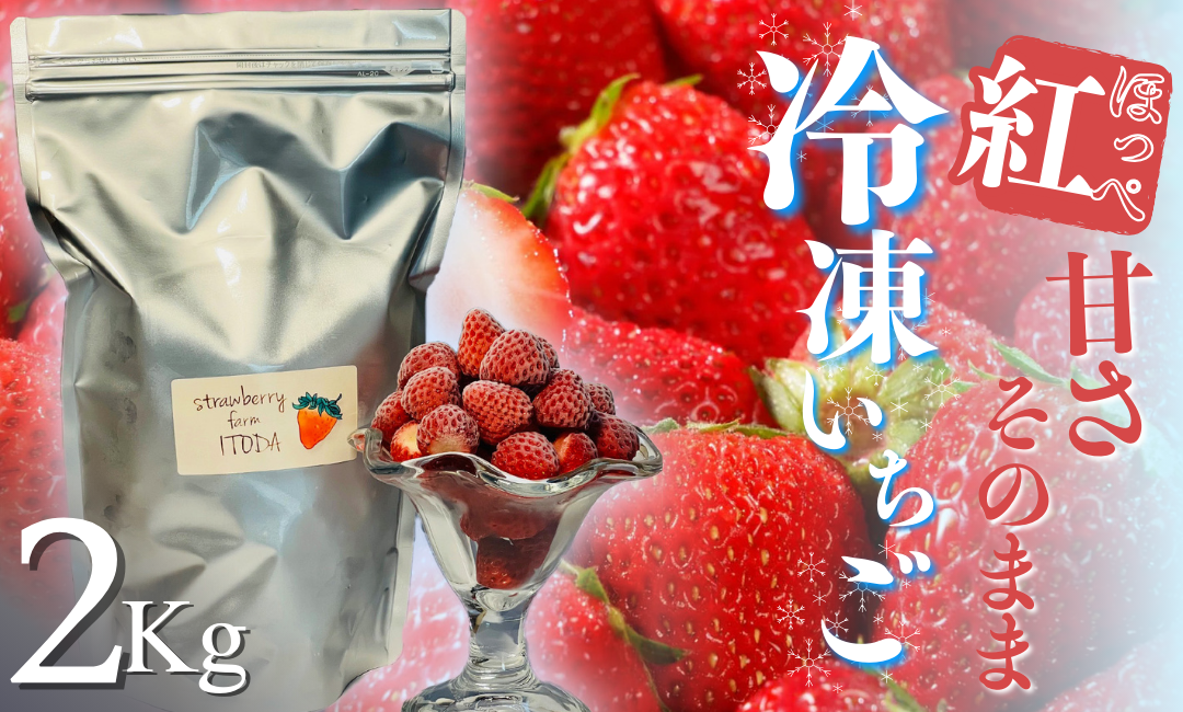 地元JA品評会金賞受賞　冷凍イチゴ2Kg　【 いちご 果物 フルーツ 苺 イチゴ 冷凍 果物 フローズン くだもの 大容量 静岡県産 期間限定 】　<AO-4>