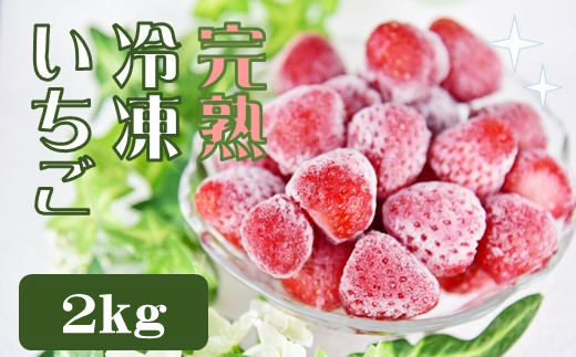 【 先行予約 _ 2025年2月以降順次配送】特別賞受賞！完熟冷凍いちご 2.0kg BabyBerryFarm　いちご 果物 フルーツ 苺 イチゴ 冷凍 くだもの 静岡県産 期間限定　<A-4>