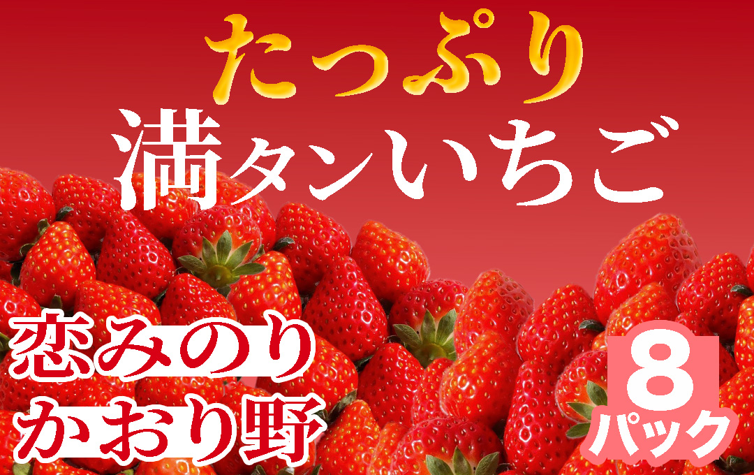 【 先行予約 _ 2025年3月から順次配送】たっぷり 満タンいちご8パック 恋みのり、かおり野　から厳選　【 苺 いちご イチゴ かおり野 恋みのり 産地直送 旬 果物 フルーツ くだもの 静岡県 伊豆 南伊豆町 期間限定 】　<AA-6>