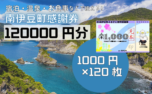 南伊豆町ふるさと寄附感謝券120枚【 伊豆 宿泊 旅行 宿 旅館 観光 グルメ 食事 アクティビティ 南伊豆 クーポン 宿泊券 ヒリゾ浜 SUP カヤック 桜 静岡 】　<BE-19>