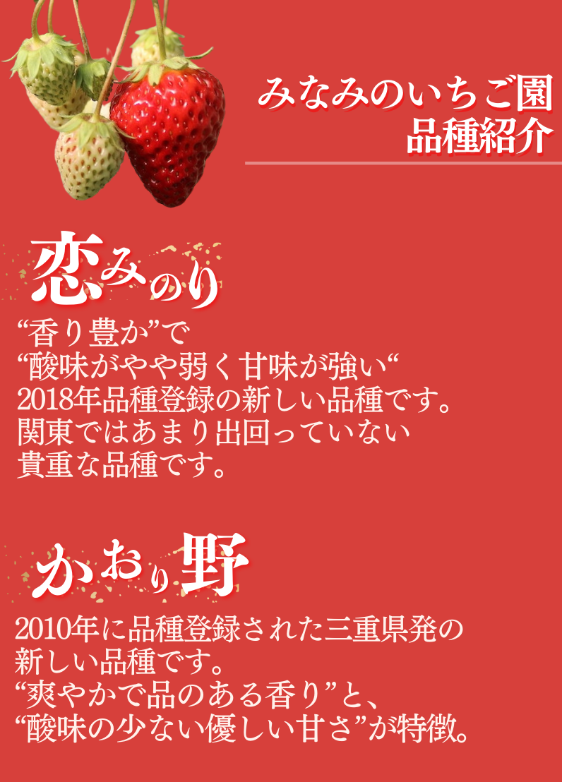 【 先行予約 _ 2025年3月から順次配送】たっぷり 満タンいちご8パック 恋みのり、かおり野　から厳選　【 苺 いちご イチゴ かおり野 恋みのり 産地直送 旬 果物 フルーツ くだもの 静岡県 伊豆 南伊豆町 期間限定 】　<AA-6>