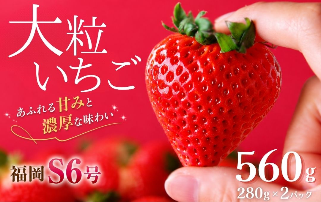【先行予約＿2027年出荷分】　完熟いちご280g 福岡S6号 2パック（DXパック）【 福岡S6号 いちご 苺 イチゴ 果物 フルーツ くだもの 旬 伊豆 静岡県 期間限定】　