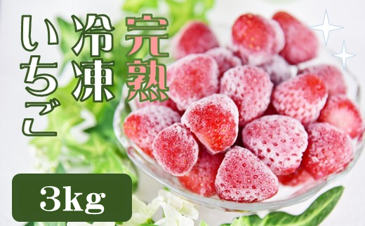 【 先行予約 _ 2025年2月以降順次配送】特別賞受賞！完熟冷凍いちご 3kg BabyBerryFarm　いちご 果物 フルーツ 苺 イチゴ 冷凍 くだもの 静岡県産 期間限定　<A-9>