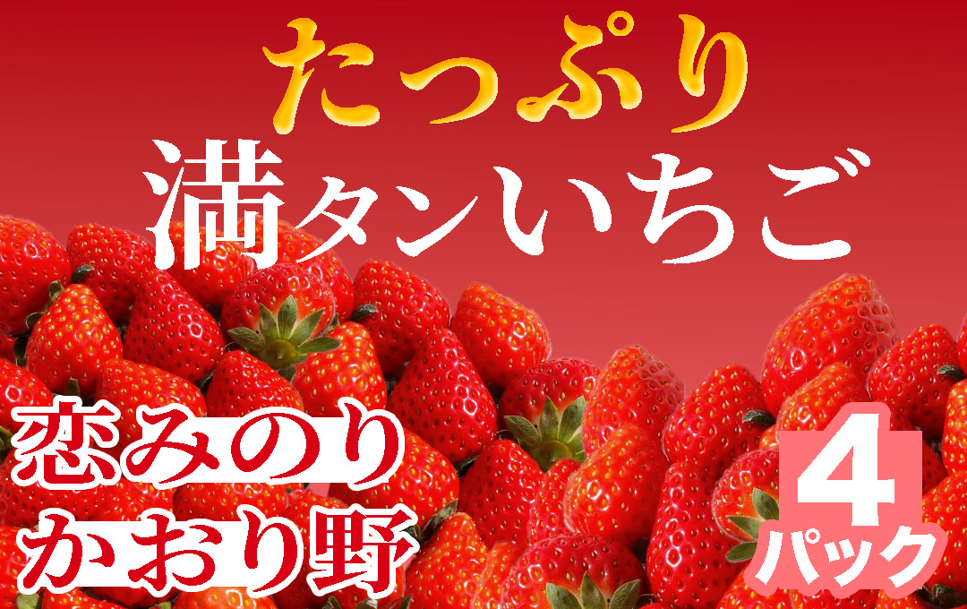 【 先行予約 _ 2025年3月から順次配送】たっぷり 満タンいちご4パック 恋みのり、かおり野　から厳選　【 苺 いちご イチゴ かおり野 恋みのり 産地直送 旬 果物 フルーツ くだもの 静岡県 伊豆 南伊豆町 期間限定 】　<AA-9>