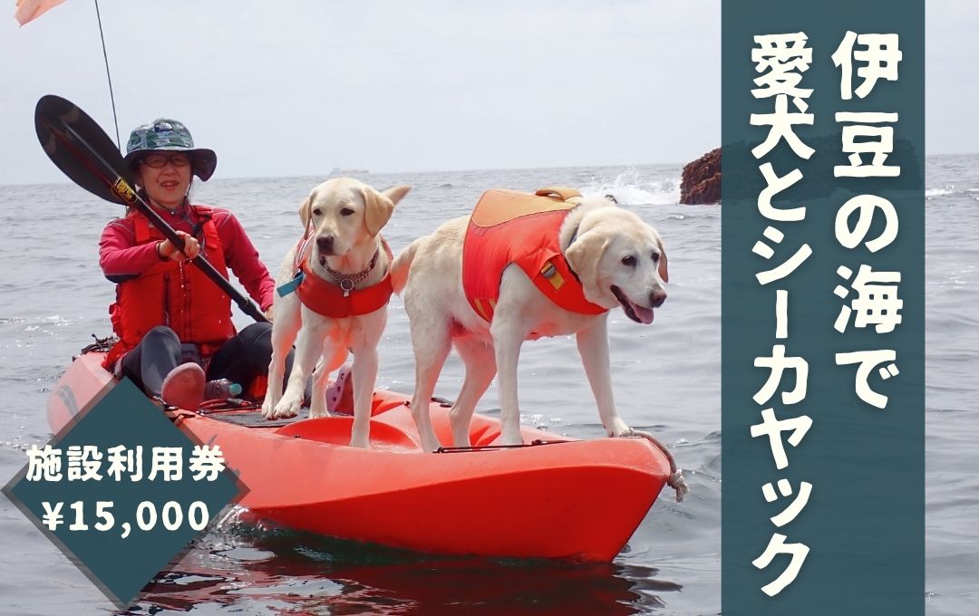 愛犬と一緒にシーカヤック 湊カフェ＆Pirates 施設利用券〈15,000円分〉　【 伊豆 アウトドア 犬 観光 カヤック 初心者 海 シーアクティビティ ふるさと納税 静岡 】