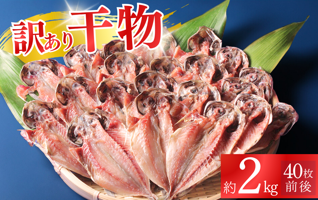 干物 訳あり アジの干物セット 伊豆急物産 手作り干物 セット 干物 ひもの 静岡県 南伊豆 伊豆急コミュニティー 干物セット ひもの ひものセット 伊豆 魚介類 詰め合わせ アジ 人気