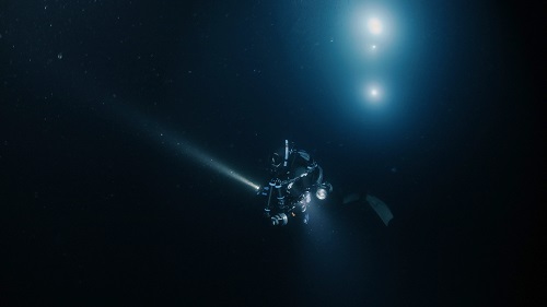 清水町ふるさと大使　海洋生物写真家　峯水亮氏による　作品パネル　Veliger larva（1Q5A2282_300）