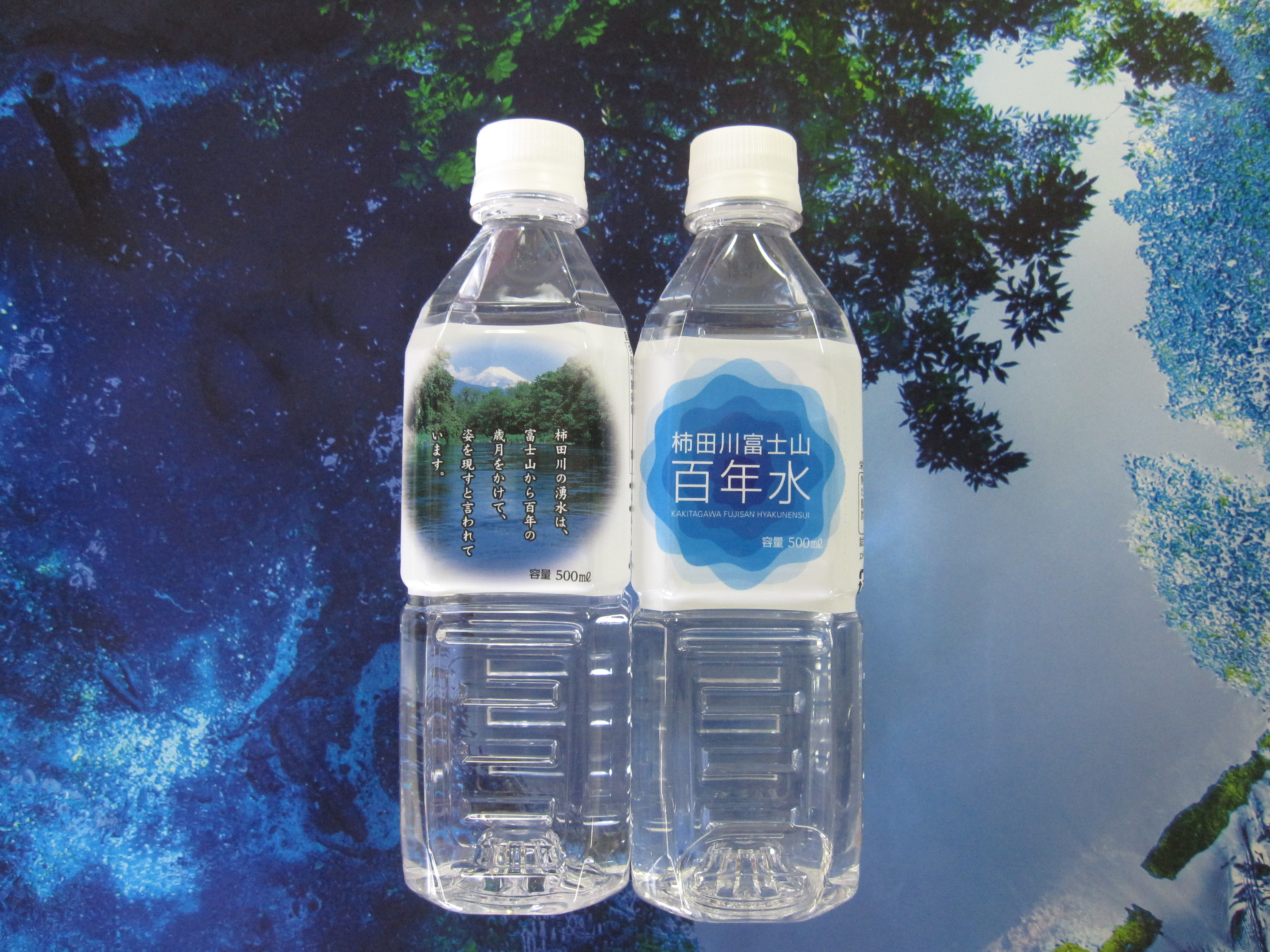 【定期便】全６回コース　柿田川富士山百年水　500ml×24本