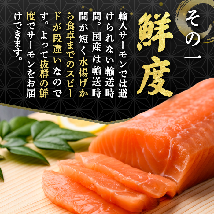 静岡県小山町産 食品添加物不使用 サーモン 国産 富士山 約1.5kg アトランティック サーモン ポーション 柵 訳あり 刺身 冷凍 サーモン丼 たたき ワンフローズン