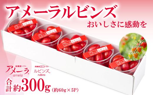 3A14アメーラルビンズ　5パック入り