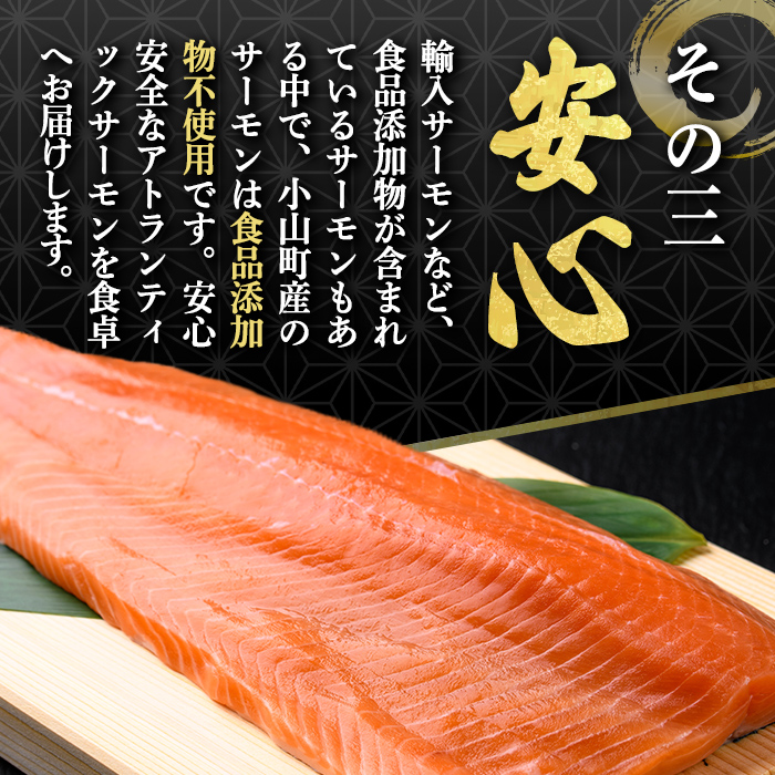 静岡県小山町産 食品添加物不使用 サーモン 国産 富士山 約1.5kg アトランティック サーモン ポーション 柵 訳あり 刺身 冷凍 サーモン丼 たたき ワンフローズン