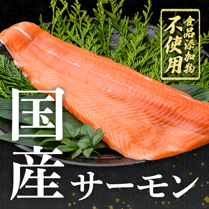 静岡県小山町産 国産 アトランティックサーモン アラ 【 冷凍 】4パック（約1kg） カブト 富士山 鮮魚