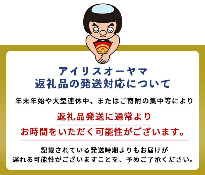 富士山の強炭酸水500mlラベルレス×24本入