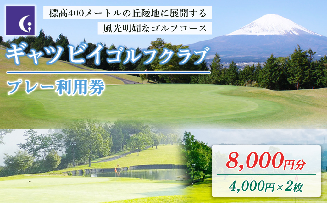 ギャツビイゴルフクラブプレー利用券　2枚 【小山町内 ゴルフ場 共通利用券】｜ ゴルフ ゴルフ場 利用券 プレー券 小山町 静岡県 体験 チケット