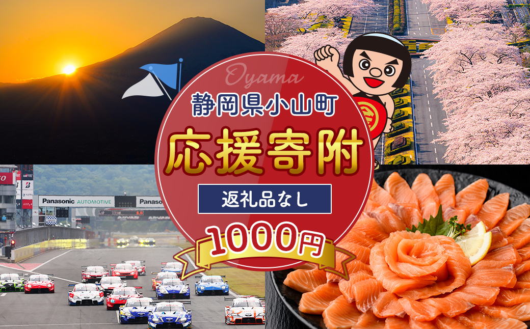 【返礼品なし】静岡県 小山町 への 応援寄附 1千円 ｜ 富士山頂 のあるまち 静岡県 小山町 静岡 応援 寄附 応援寄附 返礼品なし 返礼品無し 富士山 富士