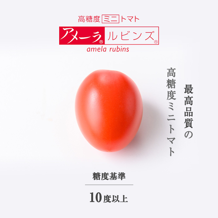 アメーラルビンズ＆ルビンズゴールド　5パック入り｜  トマト とまと アメーラトマト アメーラ フルーツトマト 野菜 高糖度トマト 静岡県