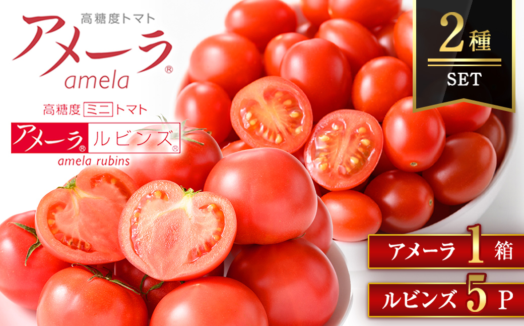 アメーラ＆ルビンズ5P