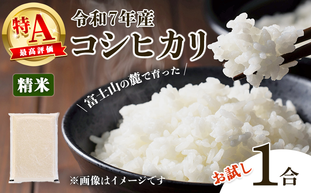 令和7年産 コシヒカリ 【 精米 】 1合｜  米 お米 令和7年産 厳選 特A コシヒカリ 白米 1合 静岡県産 国産 すぐ 届く スピード発送
