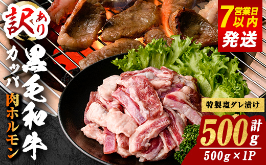 [ 訳あり] 国産 黒毛和牛 カッパ ( 肉ホルモン ) 特製塩だれ漬け 500g BBQ すぐ届く スピード発送