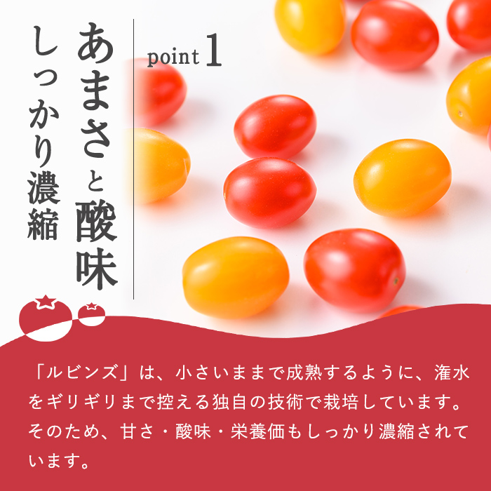 アメーラルビンズ＆ルビンズゴールド　5パック入り｜  トマト とまと アメーラトマト アメーラ フルーツトマト 野菜 高糖度トマト 静岡県