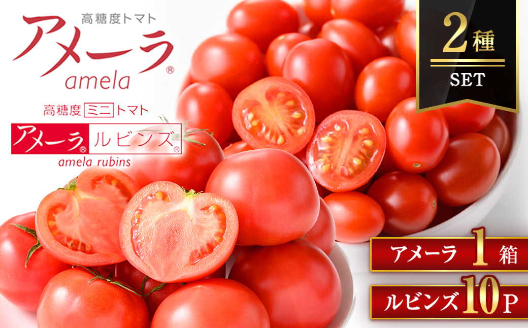 アメーラ＆ルビンズ10P