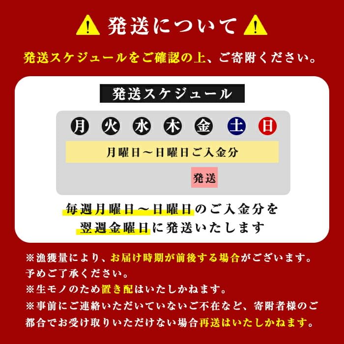 静岡県小山町産 食品添加物不使用 サーモン 国産 富士山 約1.5kg アトランティック サーモン ポーション 柵 訳あり 刺身 冷凍 サーモン丼 たたき ワンフローズン
