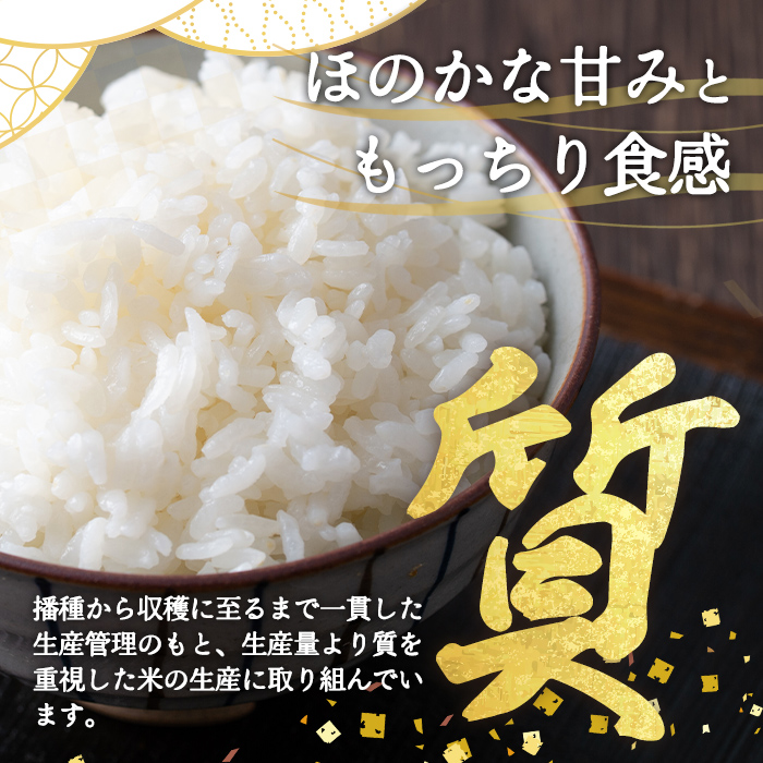 莉、蜥7蟷エ逕」 繧ウ繧キ繝偵き繝ェ 縲 邊セ邀ウ 縲 5kgス 邀ウ 縺顔アウ 莉、蜥7蟷エ逕」 蜴ウ驕ク 迚ケA 繧ウ繧キ繝偵き繝ェ 逋ス邀ウ 5kg 髱吝イ。逵檎肇 蝗ス逕」 縺吶$ 螻翫¥ 繧ケ繝斐シ繝臥匱騾