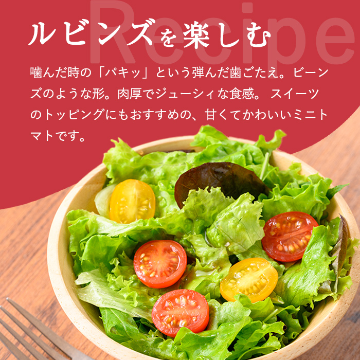 アメーラルビンズ＆ルビンズゴールド　5パック入り｜  トマト とまと アメーラトマト アメーラ フルーツトマト 野菜 高糖度トマト 静岡県