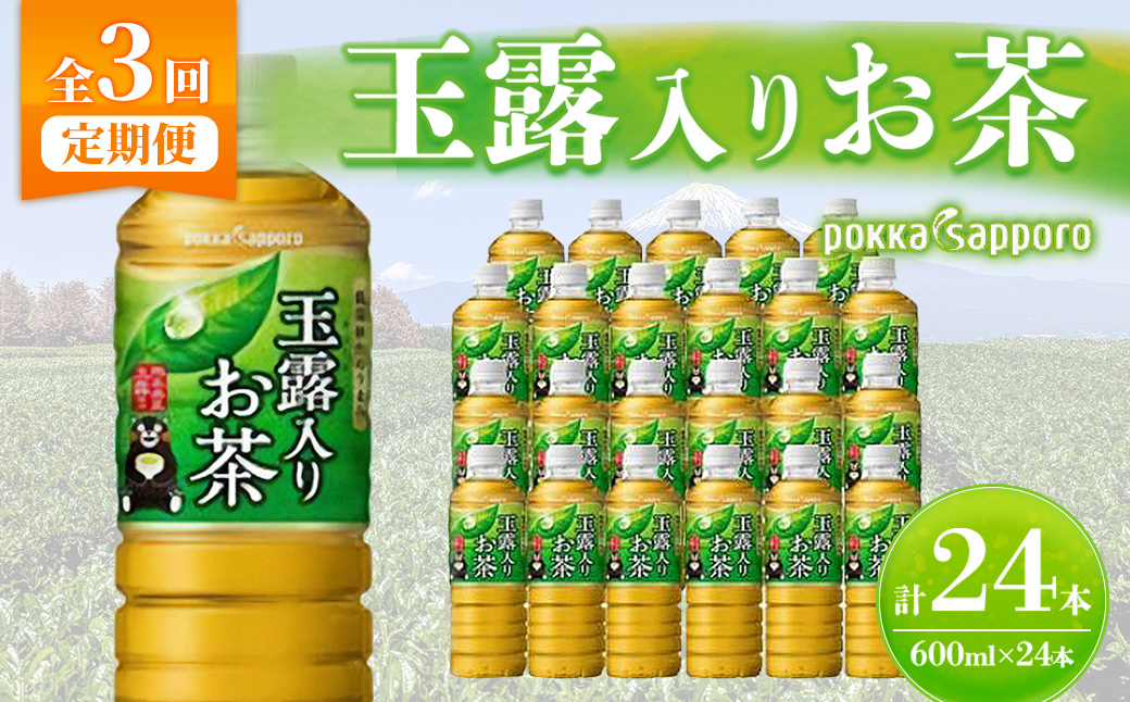 【定期便３か月コース】玉露入りお茶600ｍｌ×24本入【北海道・沖縄・離島　配送不可】×３回｜ お茶 茶 ペットボトル 玉露入り 玉露 飲料 定期便 定期