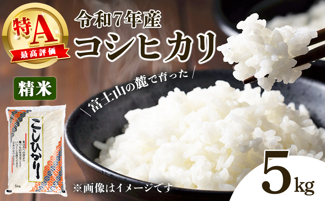 令和7年産 コシヒカリ 【 精米 】 5㎏ 