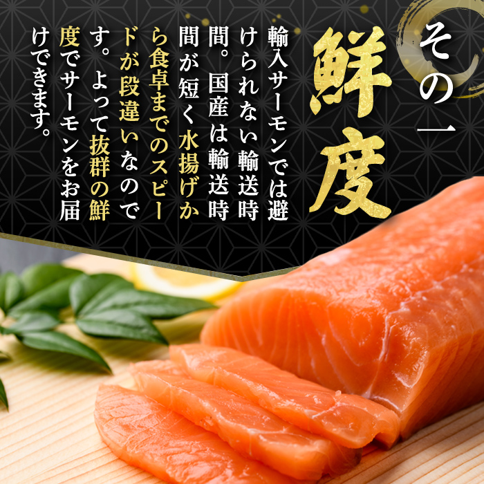 静岡県小山町産 国産 アトランティックサーモン アラ 【 冷凍 】4パック（約1kg） カブト 富士山 鮮魚