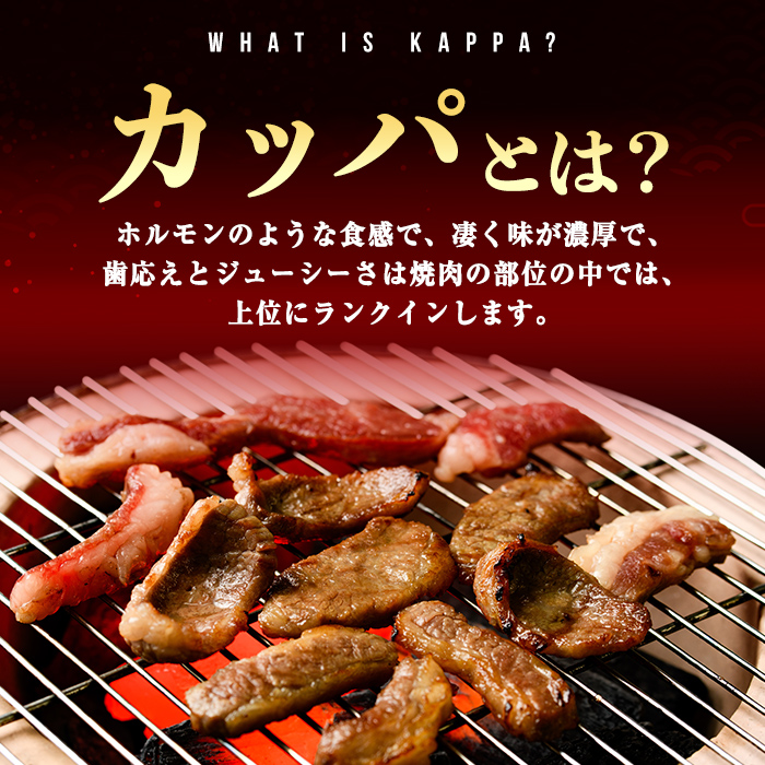 ＜ 訳あり＞ 国産 黒毛和牛 カッパ ( 肉ホルモン ) 特製塩だれ漬け 500g BBQ すぐ届く スピード発送