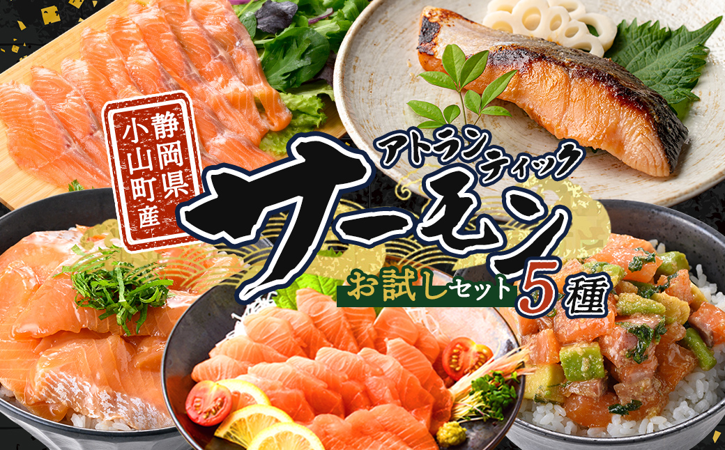 小山町産 アトランティックサーモン (冷凍) お試しセット 5種 ｜ サーモン アトランティックサーモン 鮭 刺身 魚介 海鮮 海鮮丼 ポキ丼 スモークサーモン 漬け 漬け丼 西京漬け 西京焼き 詰合せ 詰め合わせ セット