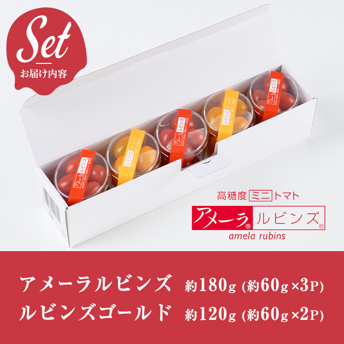 アメーラルビンズ＆ルビンズゴールド　5パック入り｜  トマト とまと アメーラトマト アメーラ フルーツトマト 野菜 高糖度トマト 静岡県