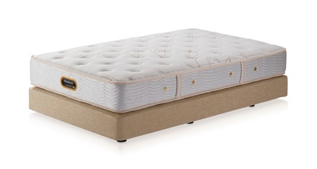 ã·ã³ã°ã«ããããããã«ã¯ãã·ã§ã³ã¿ã€ãããŽãŒã«ãã³ããªã¥ãŒ/AA21223/ããŒãžã¥BA21001ãã¡ã€ãã³ã°ã»ããïŒçŸæ¯ããããããÃ1æããµãã³ããã¯ã¹ã·ãŒãÃ2æããã£ãŒãã¹ãªãŒããããŒ5ã»ããã«ããµãã³ãããŒã±ãŒã¹ïŒïœãããã¬ã¹ ããã¯ã¹ã·ãŒã å¯å
·ã»ãã