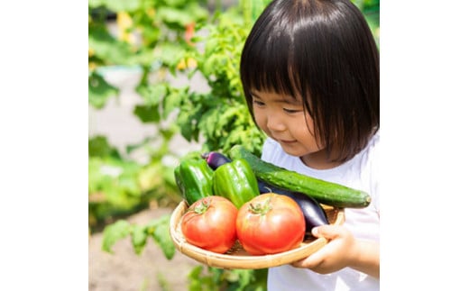 3AD2雜ウ譟縺オ繧後≠縺蜈ャ蝨偵菴馴ィ楢セイ蝨偵逡代が繝シ繝翫シ繝励Λ繝ウシ12縺区怦シ