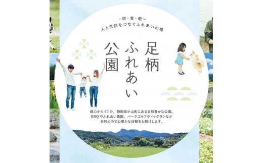 3AD2雜ウ譟縺オ繧後≠縺蜈ャ蝨偵菴馴ィ楢セイ蝨偵逡代が繝シ繝翫シ繝励Λ繝ウシ12縺区怦シ