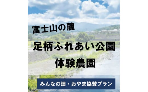 S25足柄ふれあい公園　体験農園　みんなの畑・おやま協賛プラン