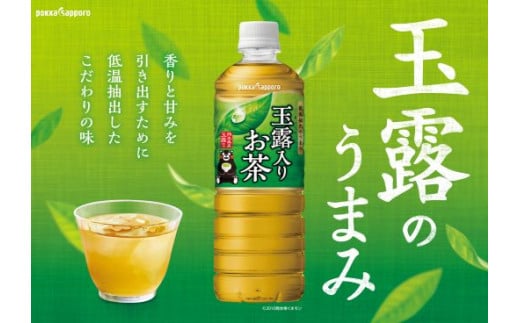 T10H2【定期便３か月コース】玉露入りお茶600ｍｌ×24本入【北海道・沖縄・離島　配送不可】×３回