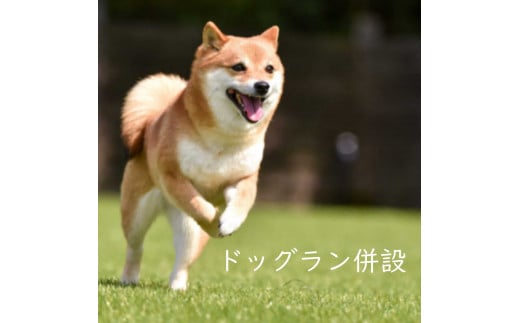 4L5足柄ふれあい公園　手ぶらでBBQ（6名様）