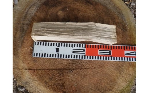 Tシ鏑1縲後″縺薙j縺ョ阮ェ縲榊コ闡画ィケ螳壽悄萓ソ5繧ォ譛