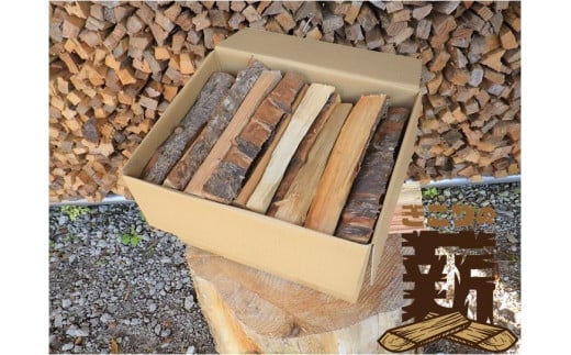 T3I1縲後″縺薙j縺ョ阮ェ縲榊コ闡画ィケ螳壽悄萓ソシ薙き譛