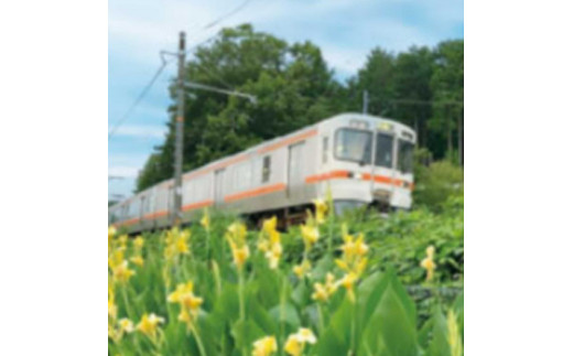 3AD2雜ウ譟縺オ繧後≠縺蜈ャ蝨偵菴馴ィ楢セイ蝨偵逡代が繝シ繝翫シ繝励Λ繝ウシ12縺区怦シ